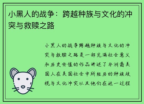 小黑人的战争：跨越种族与文化的冲突与救赎之路